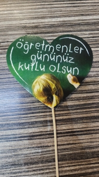 öğretmen 3
