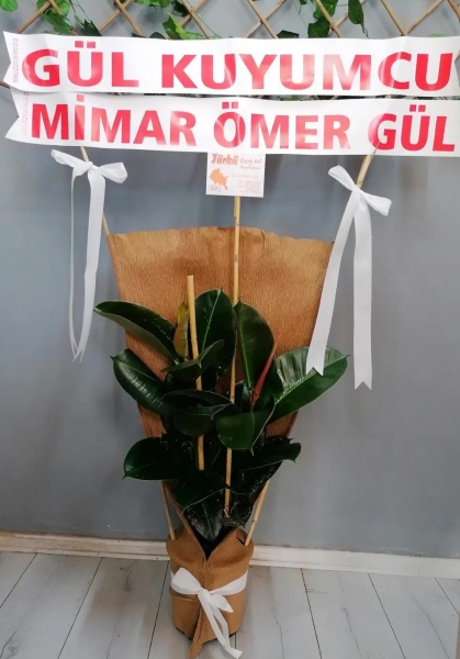 KAUÇUK (ÇİFT GÖVDELİ)