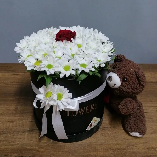 PELUŞ AYICIK KUTU PAPATYA