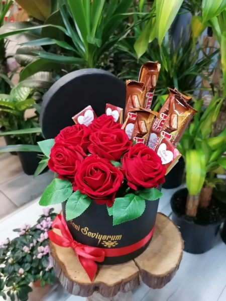 ALBENİ,SENİ SEVİYORUM