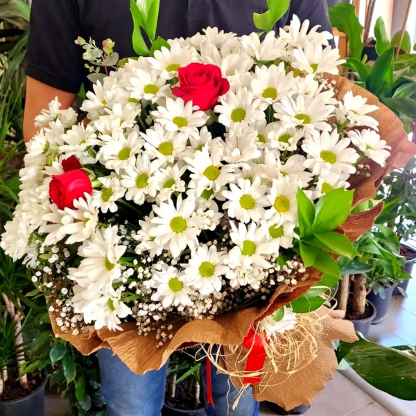 ÖZEL ÜRÜN PAPATYA