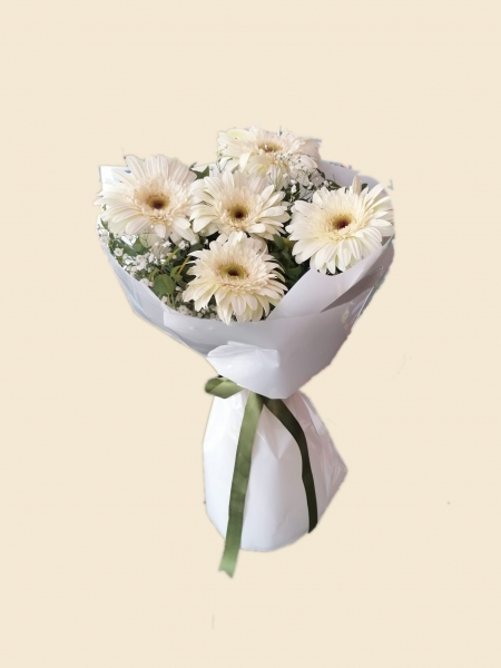 BEYAZ GERBERA ÇİÇEĞİ