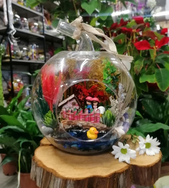 SEVGİLİYE ÖZEL TERARYUM