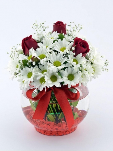 kırmızı beyaz aşk