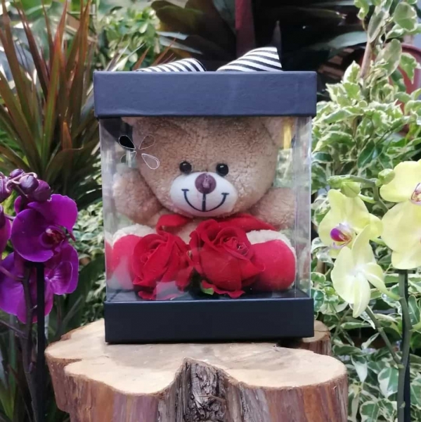 SEMPATİK AYICIK (İNDİRİMLİ)