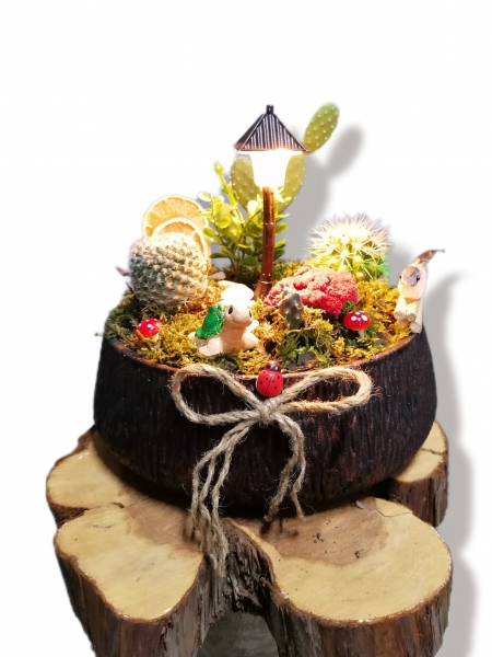 SOKAK LAMBALI KAKTÜS