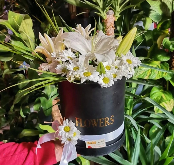 BEYAZ'IN MİS KOKULU BÜYÜSÜ