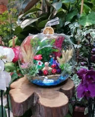 BİR ÖMÜR SEVGİLİM