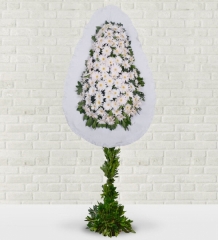 Beyaz Gerbera Sepeti