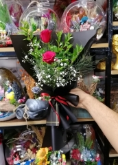 YARIM ELMA GÖNÜL ALMA