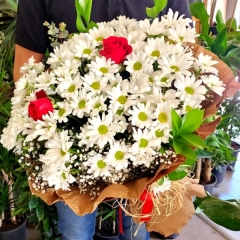 ÖZEL ÜRÜN PAPATYA