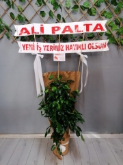 İŞ YERİ HAYIRLI OLSUN