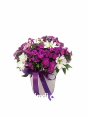 MOR'UN BÜYÜSÜ (İNDİRİMLİ)