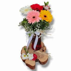 RENGARENK CERBERALAR