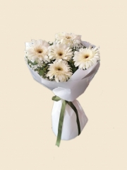 BEYAZ GERBERA ÇİÇEĞİ