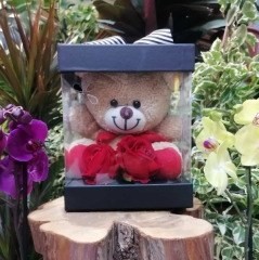 SEMPATİK AYICIK (İNDİRİMLİ)