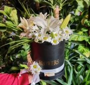 BEYAZ'IN MİS KOKULU BÜYÜSÜ