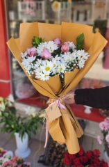 PEMBE BÜYÜ PAPATYA